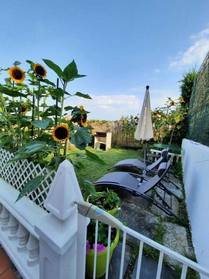 Apartamento Duplex Con Vistas Al Mar Los Girasoles 모그로 외부 사진